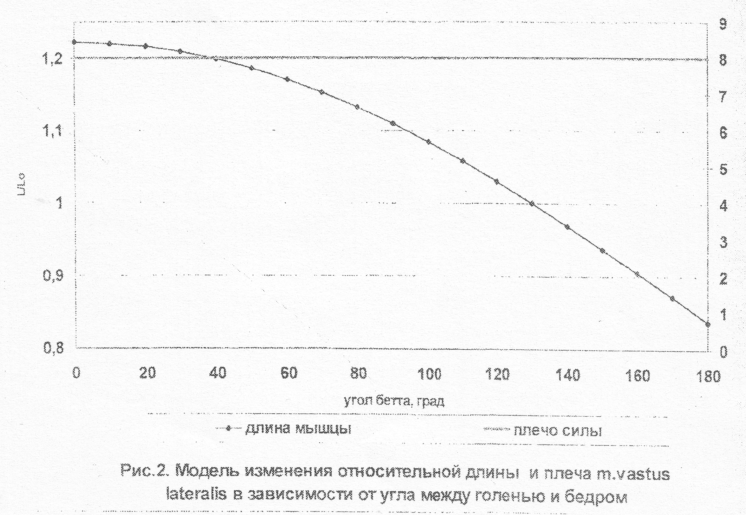 Моделирование двигательных действий в тяжелой атлетике и пауэрлифтинге