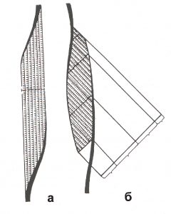 Схема определения анатомического (а) и физиологического поперечника (б) у мышц с различным ходом мышечных волокон (по: K. Tittel, 1967)