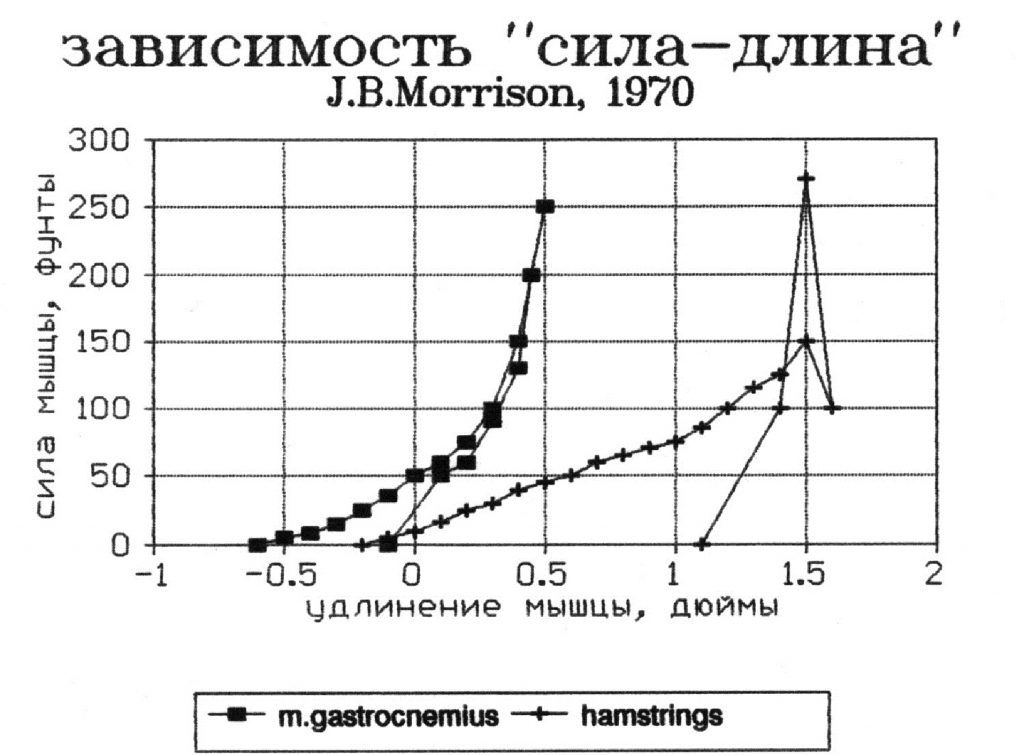 Закон длина сила