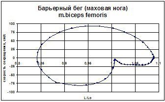 Фазовая траектория двуглавой м. бедра при преодолении барьера спортсменкой высокой квалификации