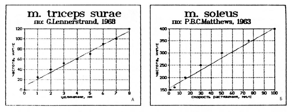 Зависимость частоты импульсации веретенных афферентов от длины и скорости сокращения мышцы