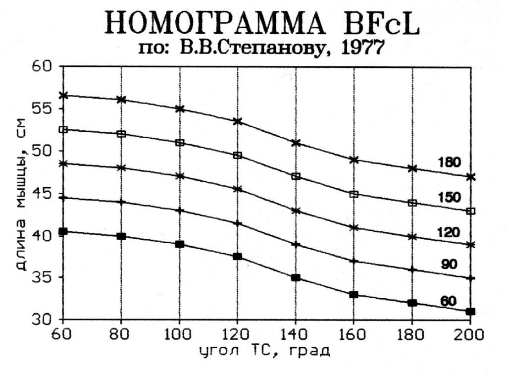 Номограмма зависимости длины m.biceps femoris от угла между туловищем и бедром