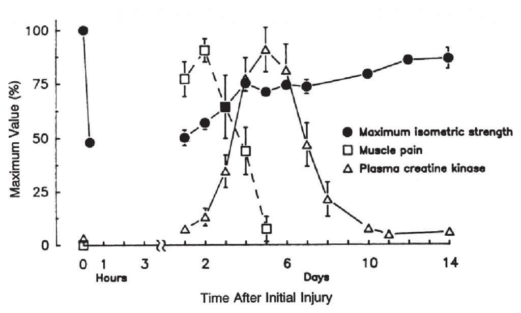 Максимальная изометричская сила, болезненные ощущения и уровень креатинкиназы после эксцентрических сокращений 