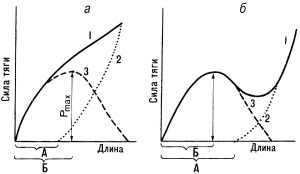 Зависимость «длина-сила» для  мышц нижних (а) и верхних (б) конечностей 