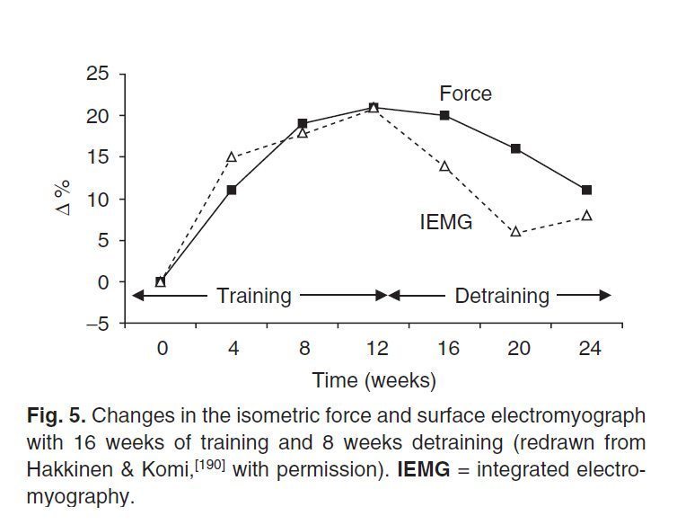 Изменения в ЭМГ и изометрической силе