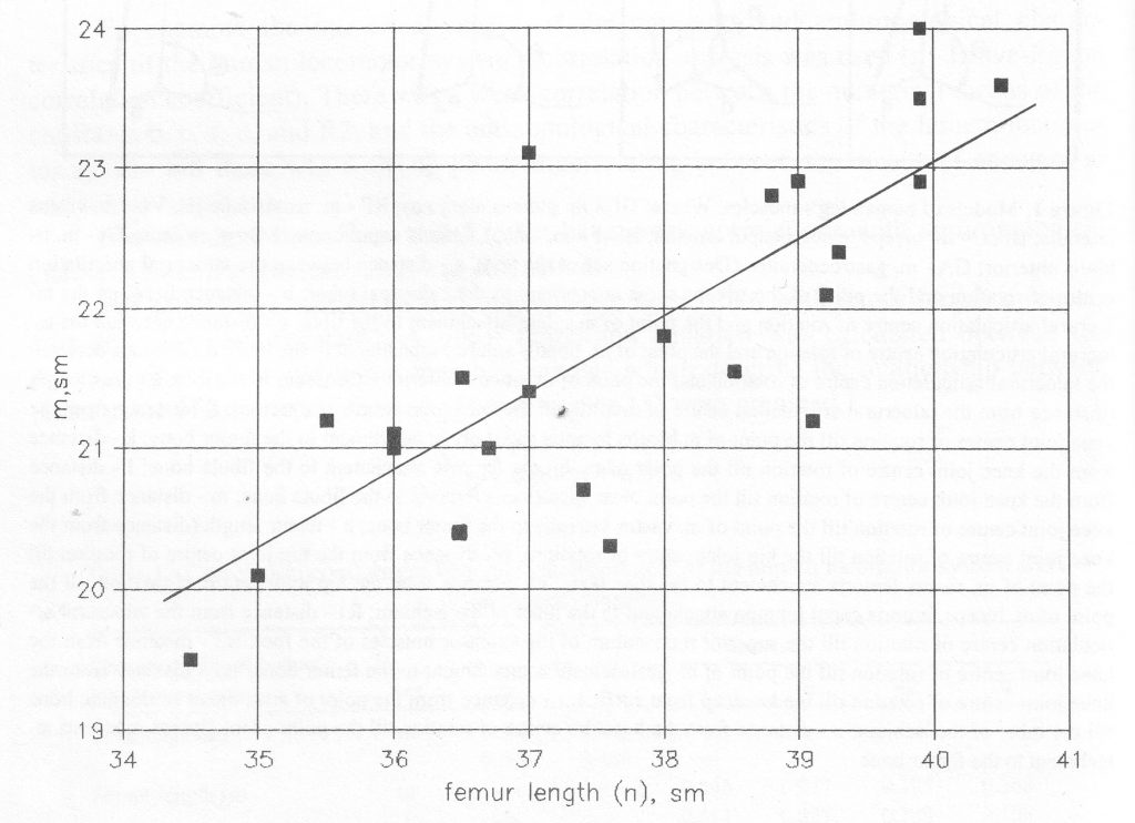 graphical representation of the relationship between m and femur length.