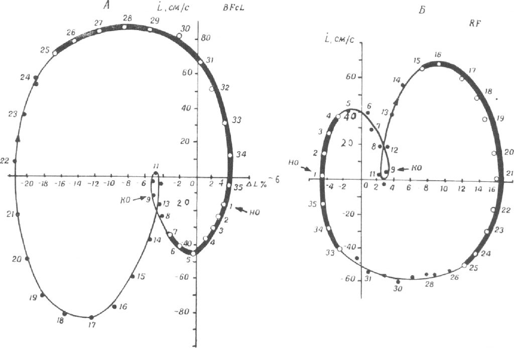 Фазовые портреты мышц
