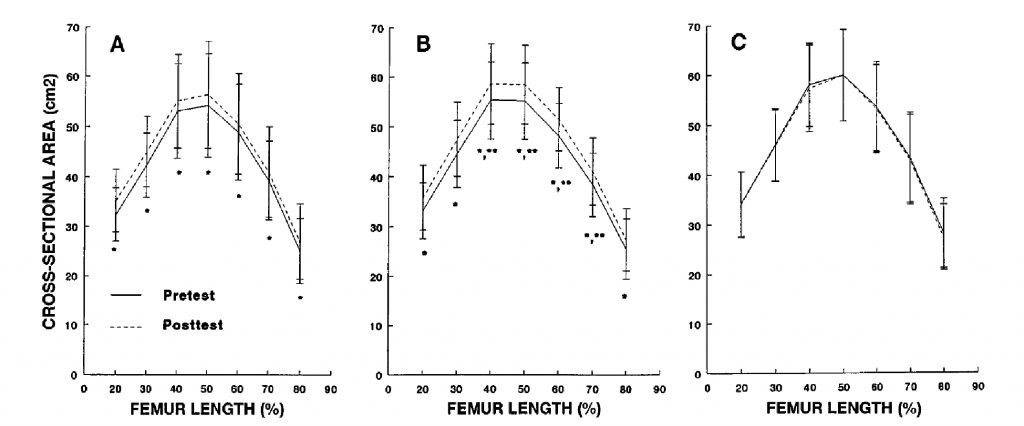 сечение мышц что это. Смотреть фото сечение мышц что это. Смотреть картинку сечение мышц что это. Картинка про сечение мышц что это. Фото сечение мышц что это сечение мышц что это. Смотреть фото сечение мышц что это. Смотреть картинку сечение мышц что это. Картинка про сечение мышц что это. Фото сечение мышц что это