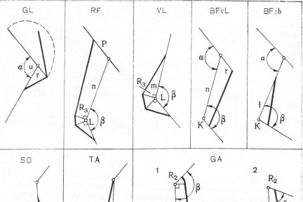 Миниатюра для записи Моторные и сенсорные компоненты биомеханической структуры упражнений