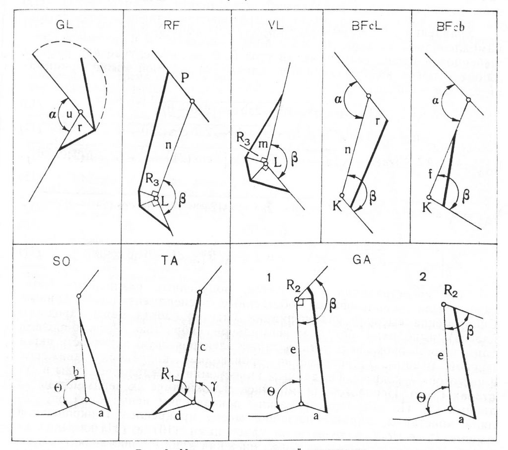 Модели мышц нижних конечностей