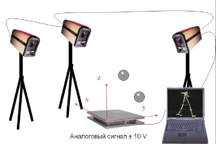 Миниатюра для записи История биомеханики