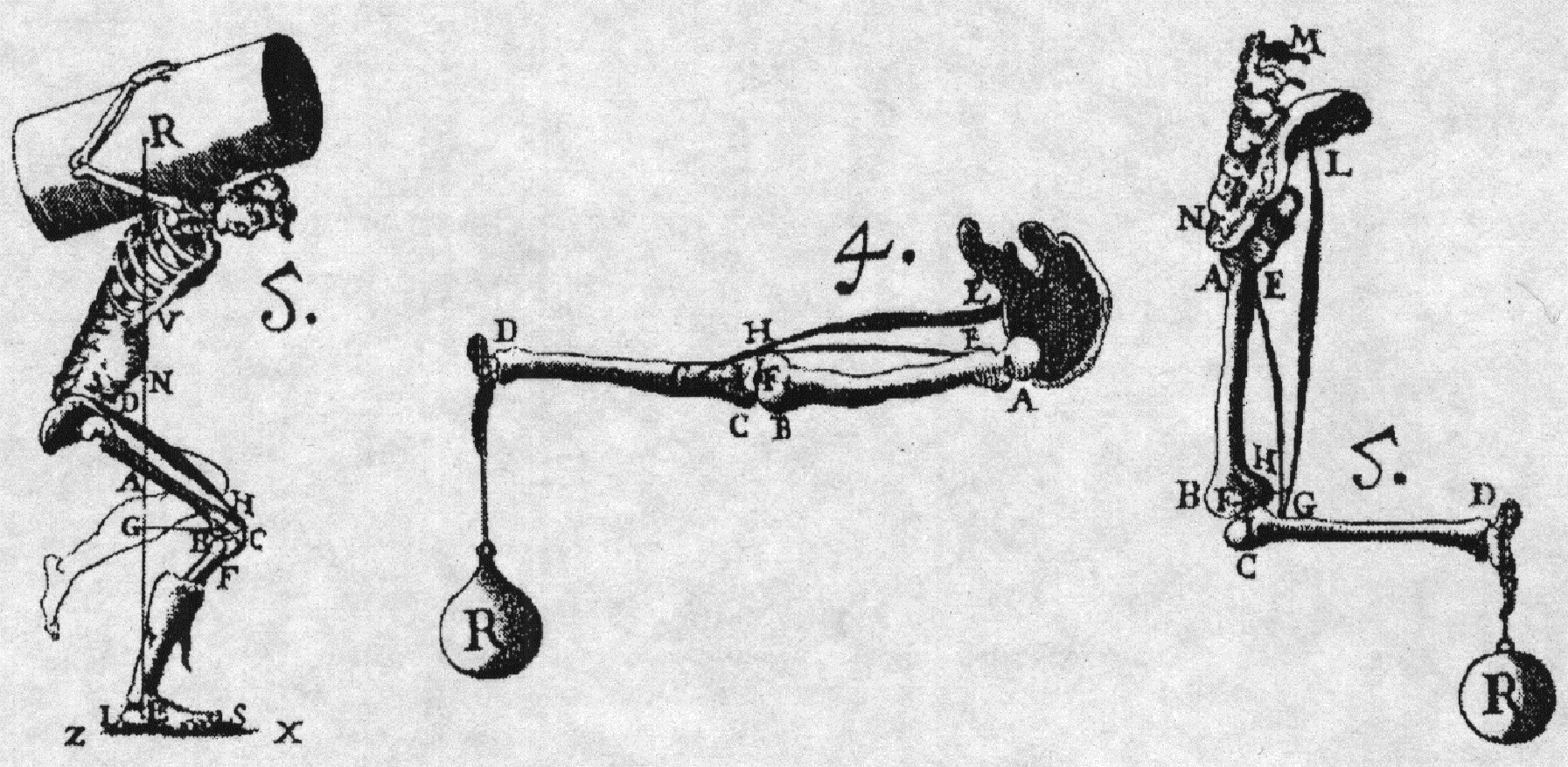 Из книги Джовани Альфонсо Борелли "Движения животных"