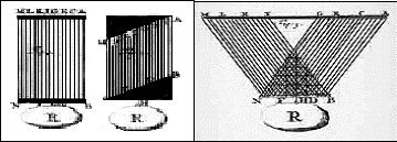 Рисунки Джованни Альфонсо Борелли из книги De Motu Animalium отображающие функционирование веретенообразных и перистых мышц