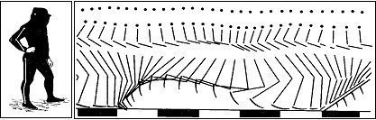 Подготовленный к съемке исследуемый и хронофотография Э.Ж.Марея