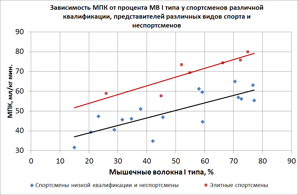 Взаимосвязь между МПК и композицией мыешчных волокон