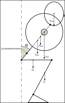 Схема расчета давления на межпозвонковый диск L3-L4