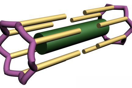 Миниатюра для записи Сот — структурная единица саркомера