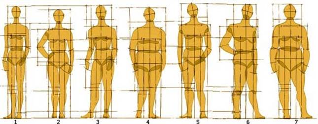 Конституции женщин по И.Б. Галанту