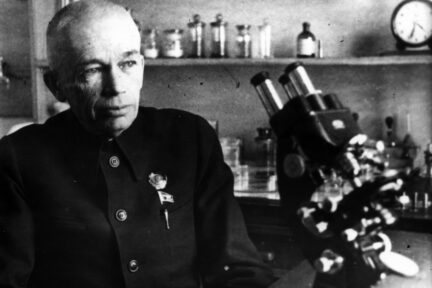 Миниатюра для записи Типы конституции по А.А. Богомольцу