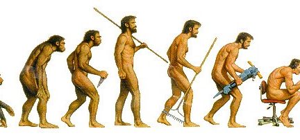 Миниатюра для записи Адаптация скелетных мышц человека к физическим нагрузкам