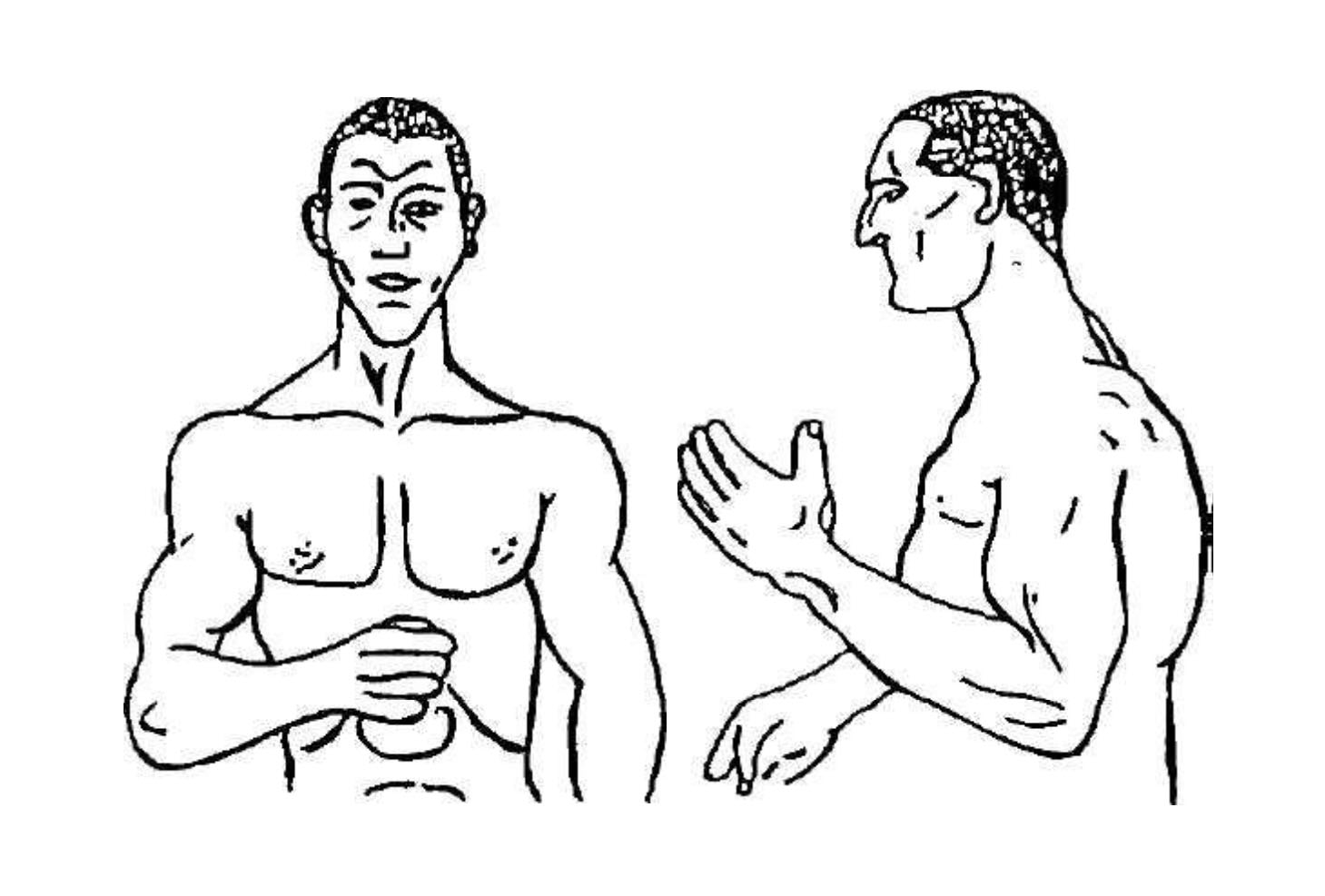 Атлетический тип по Э.Кречмеру 