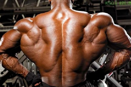 Миниатюра для записи Гипертрофия скелетных мышц