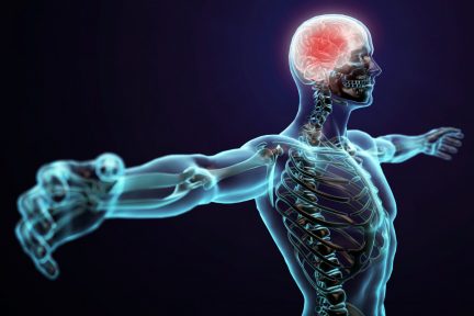 Миниатюра для записи Asymmetry of the Human Body in Space