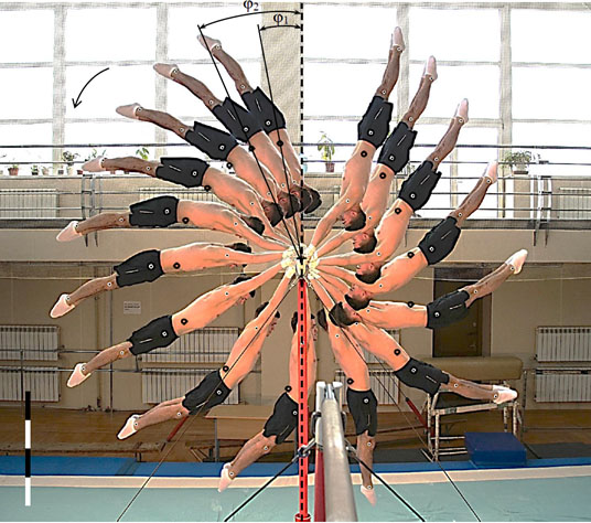 Механическое движение твердого тела (поступательное и вращательное)