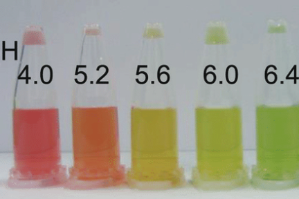 Миниатюра для записи рН крови, мочи и саркоплазмы мышечных волокон