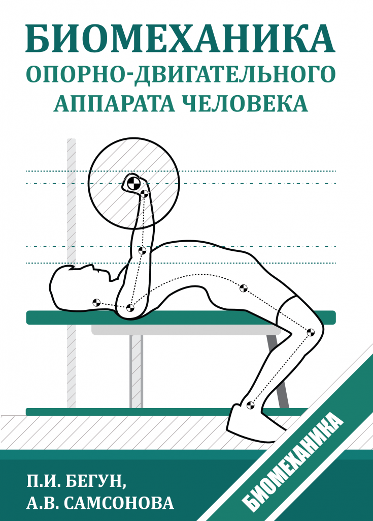 Биомеханика опорно-двигательного аппарата человека