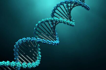 Миниатюра для записи Как была открыта структура ДНК