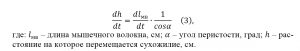 Как называется мышцы противоположного действия. formula 3 1. Как называется мышцы противоположного действия фото. Как называется мышцы противоположного действия-formula 3 1. картинка Как называется мышцы противоположного действия. картинка formula 3 1