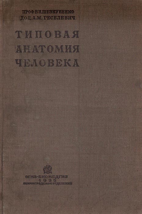Типовая анатомия человека