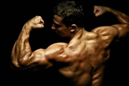 Миниатюра для записи Механизм мышечной гипертрофии и приложения относительно силовой тренировки