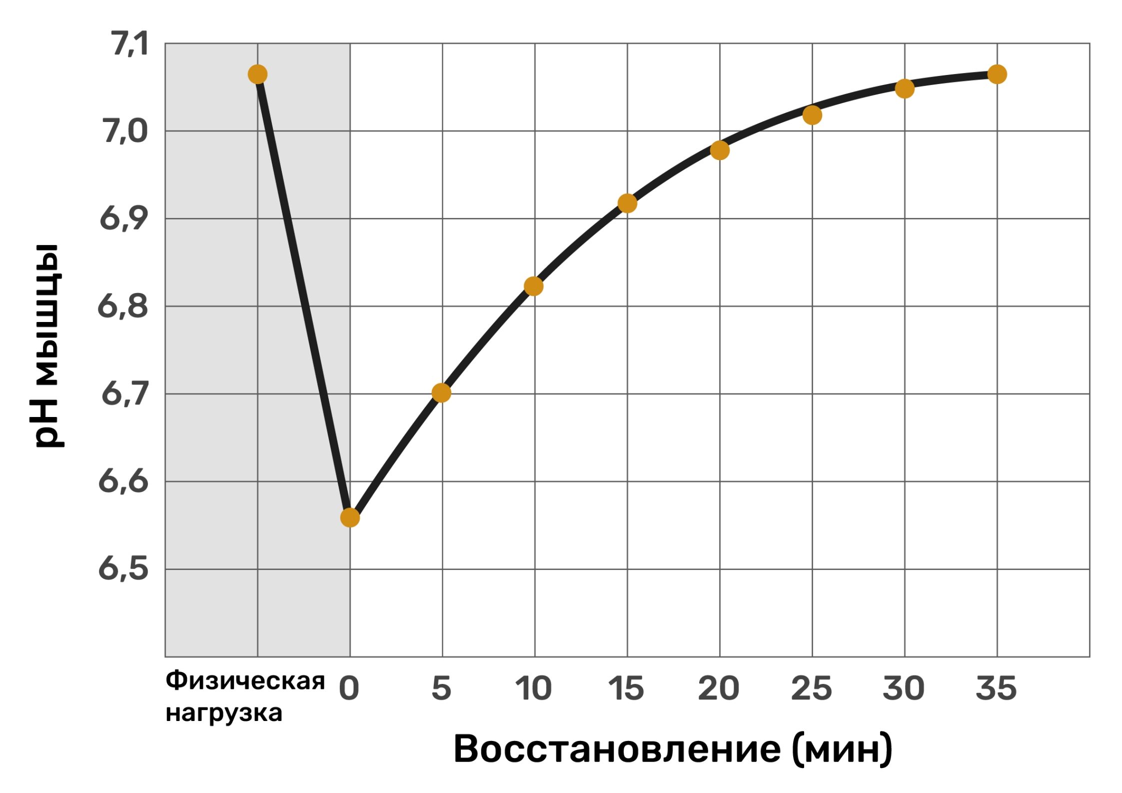 Изменение pH мышцы во время нагрузки высокой интенсивности и в период восстановления [7] 