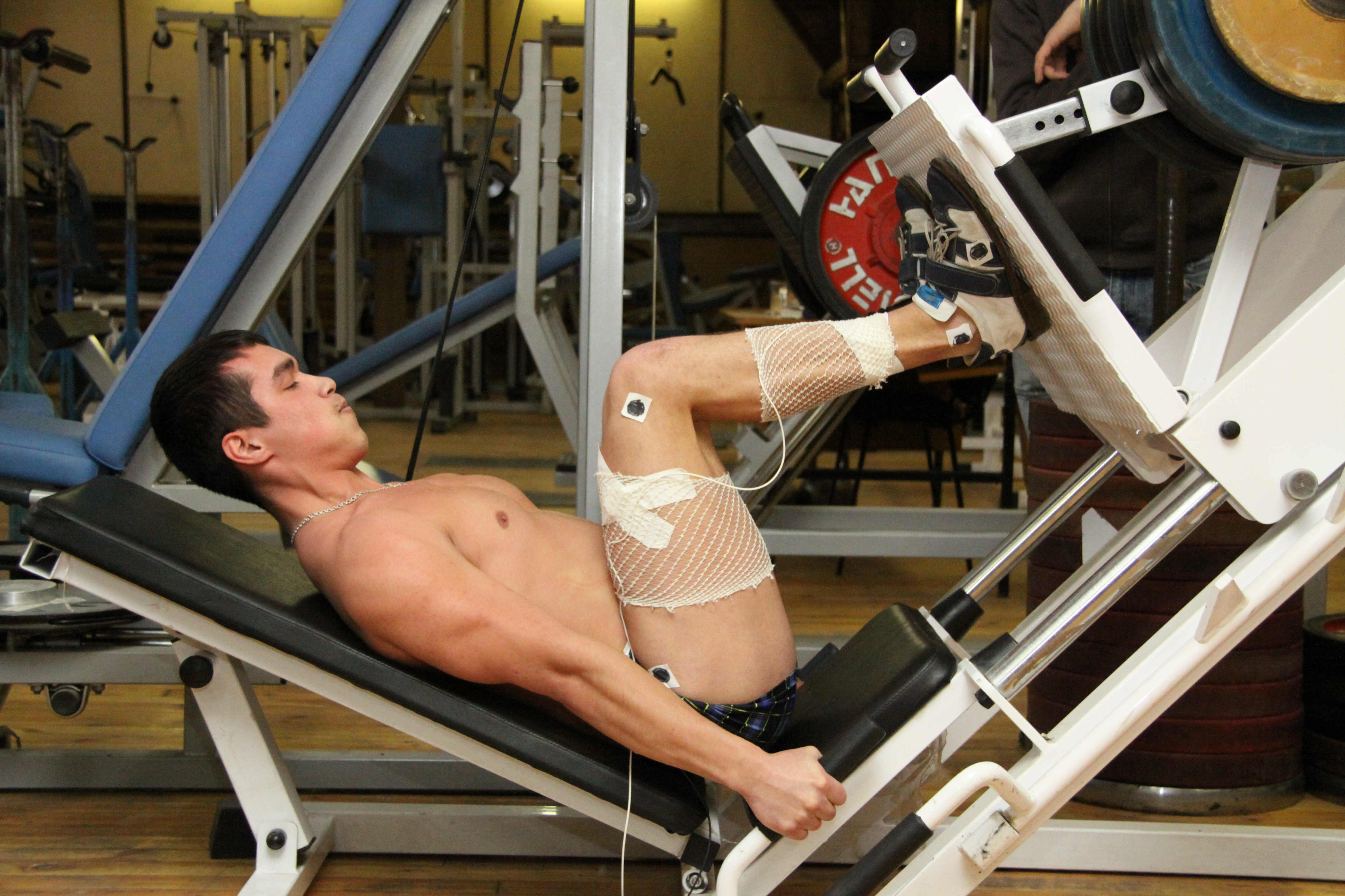 жим штанги ногами на тренажере