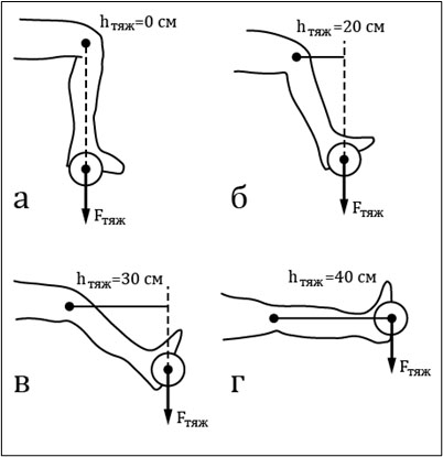 Изменение плеча силы тяжести относительно центра вращения в коленном суставе при различных положениях голени относительно бедра (Р. Энока, 1998)