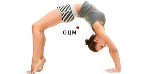 Положение ОЦМ тела человека при выполнении гимнастического элемента "мостик"