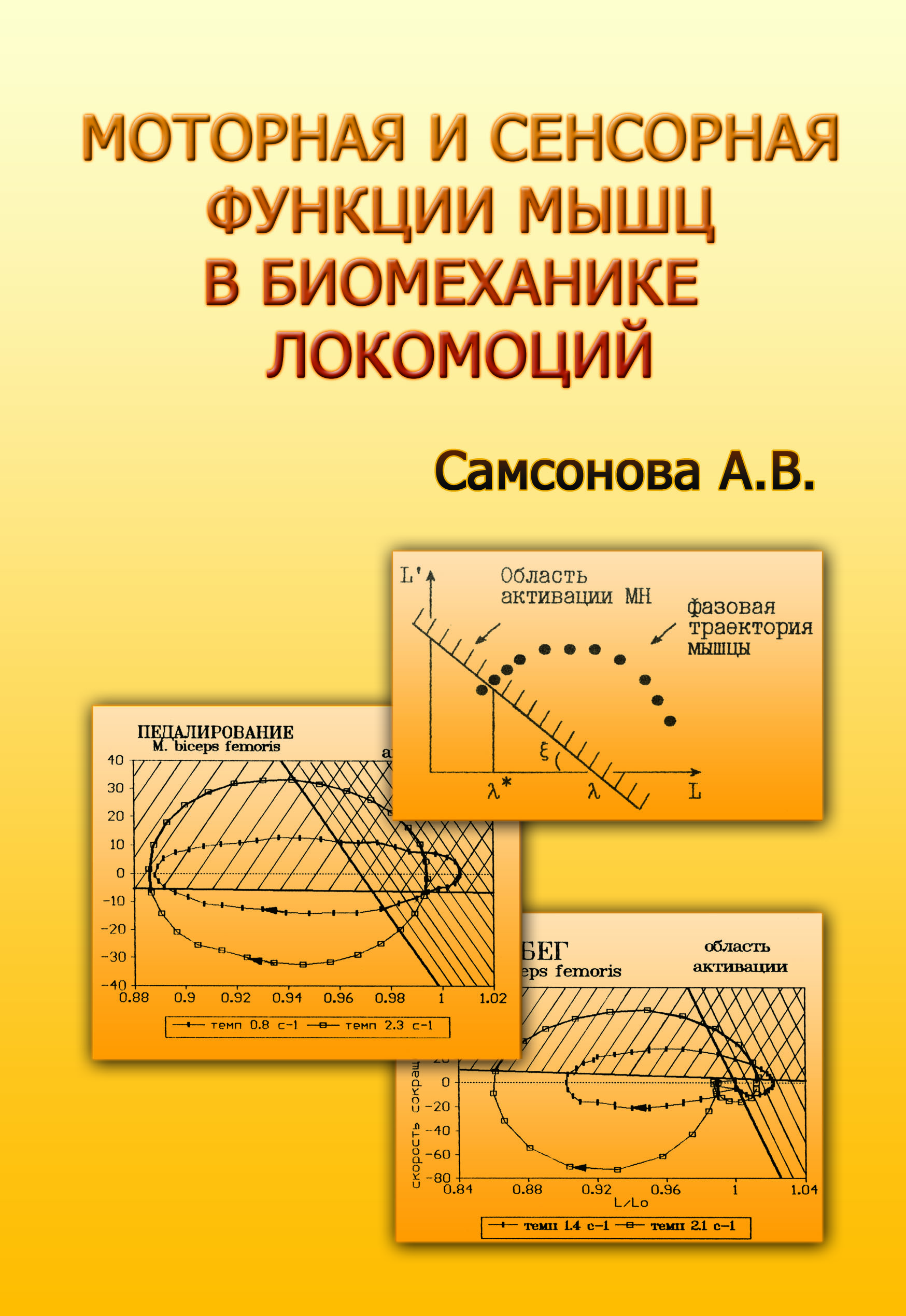 Сенсорная и моторная