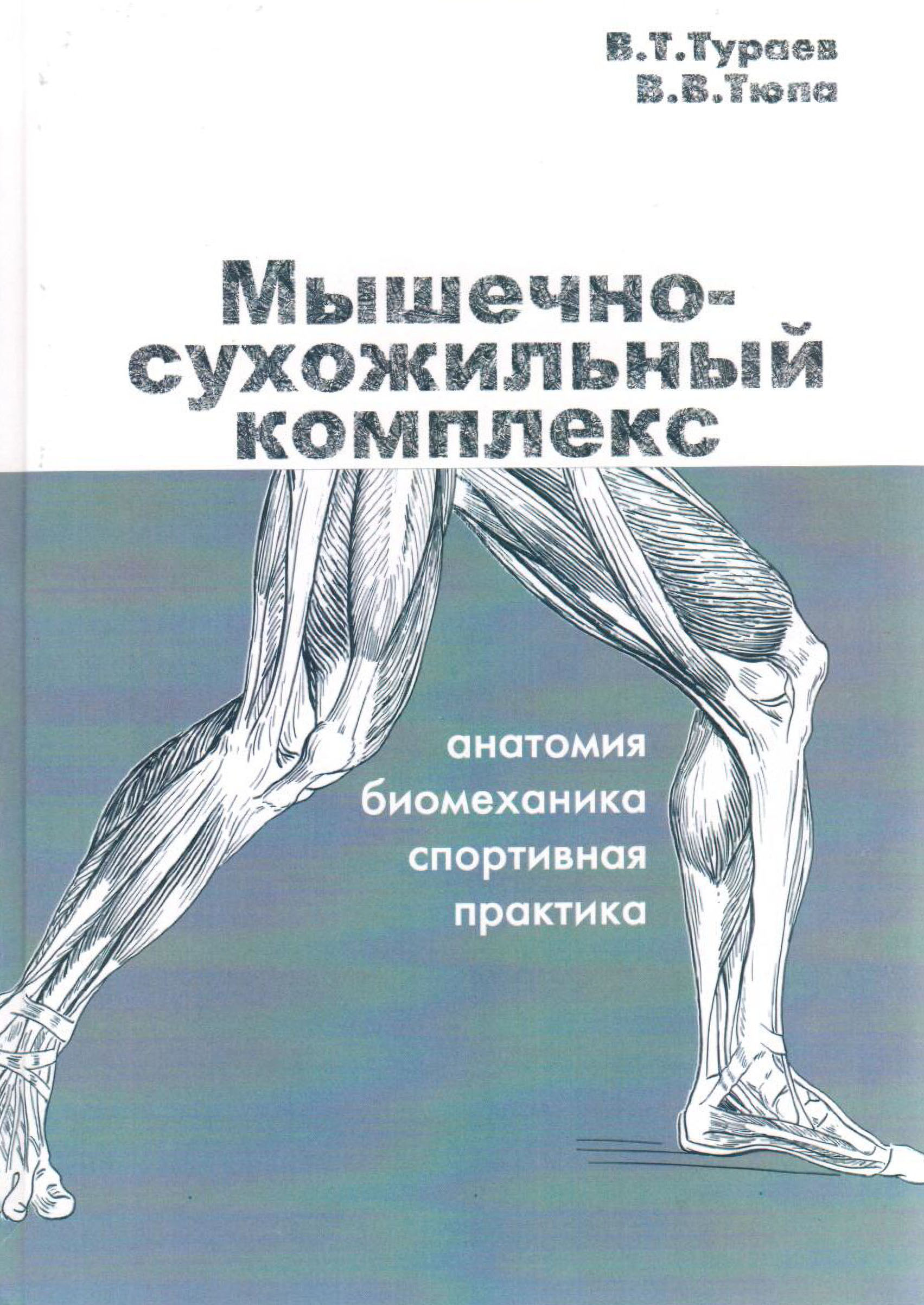 МЫшечно-сухожильный комплекс: анатомия, биомеханика и спортивная практика.