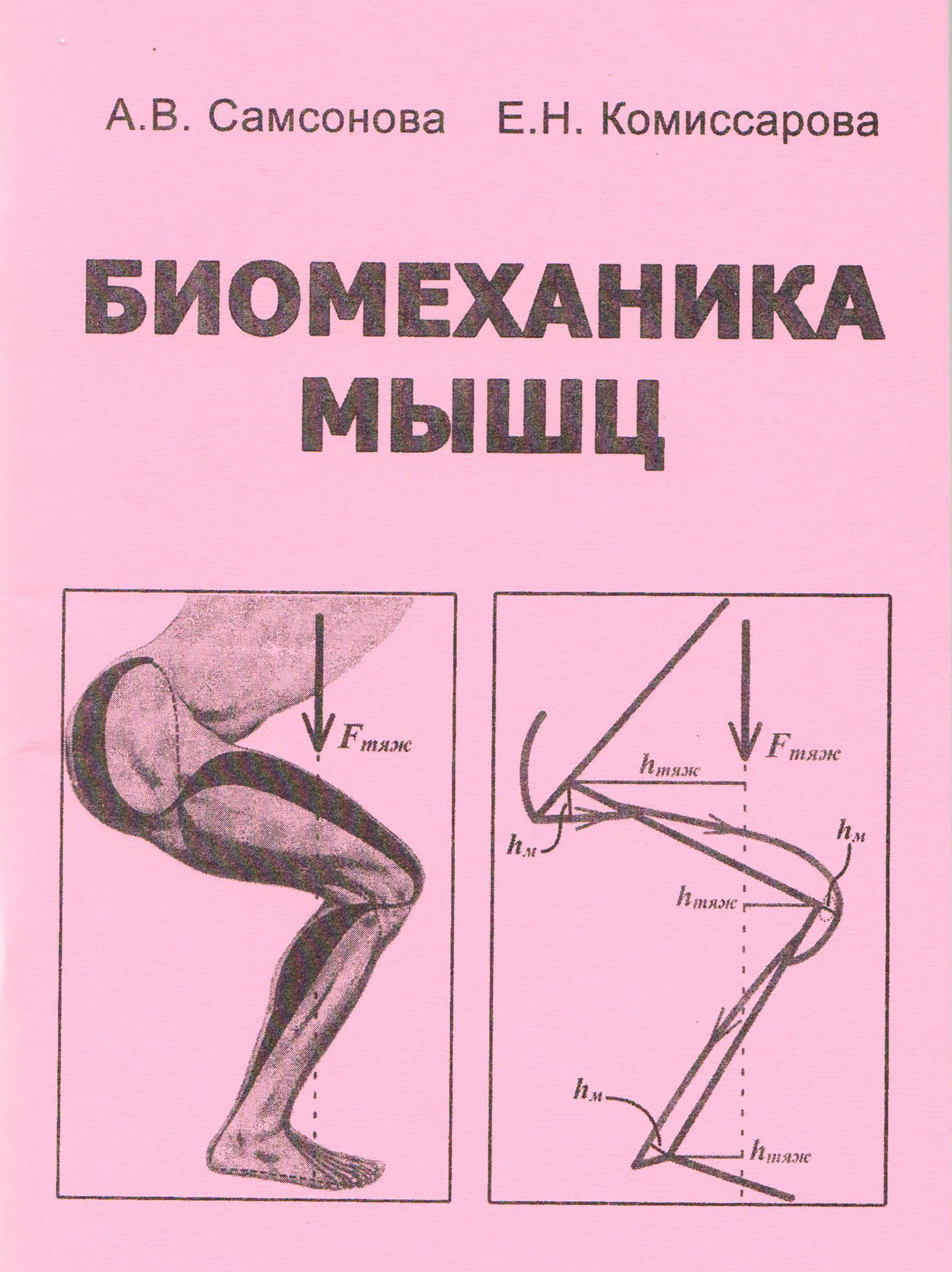 Учебное пособие "Биомеханика мышц"