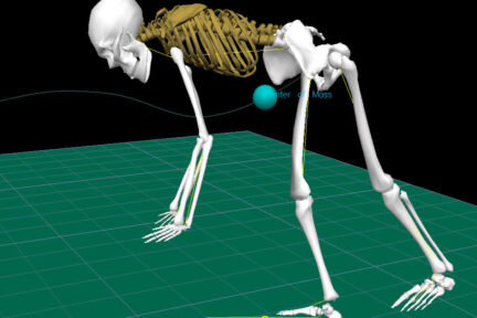 Миниатюра для записи Общий центр масс (ОЦМ) и общий центр тяжести (ОЦТ) тела