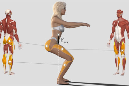 Миниатюра для записи Канал А.В. Самсоновой «Все о мышцах и не только»