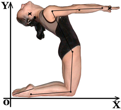 Фотография спортсменки в сагиттальной плоскости с нанесенными ЦТ головы и кисти (помечены крестиками) и линиями, соединяющими центры суставов. 