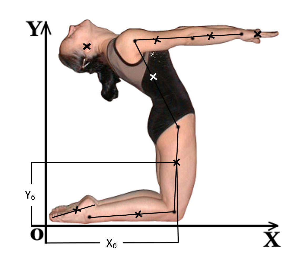 Фотография спортсменки в сагиттальной плоскости. В качестве примера показано измерение координат ЦТ бедра: абсциссы (Хб) и ординаты (Yб)
