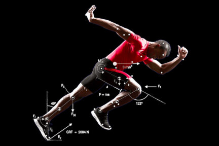 Миниатюра для записи Связь биомеханики с другими науками