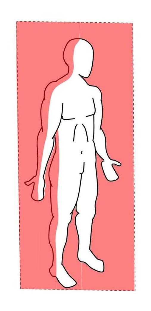 Фронтальная плоскость делит тело человека на переднюю и заднюю половины