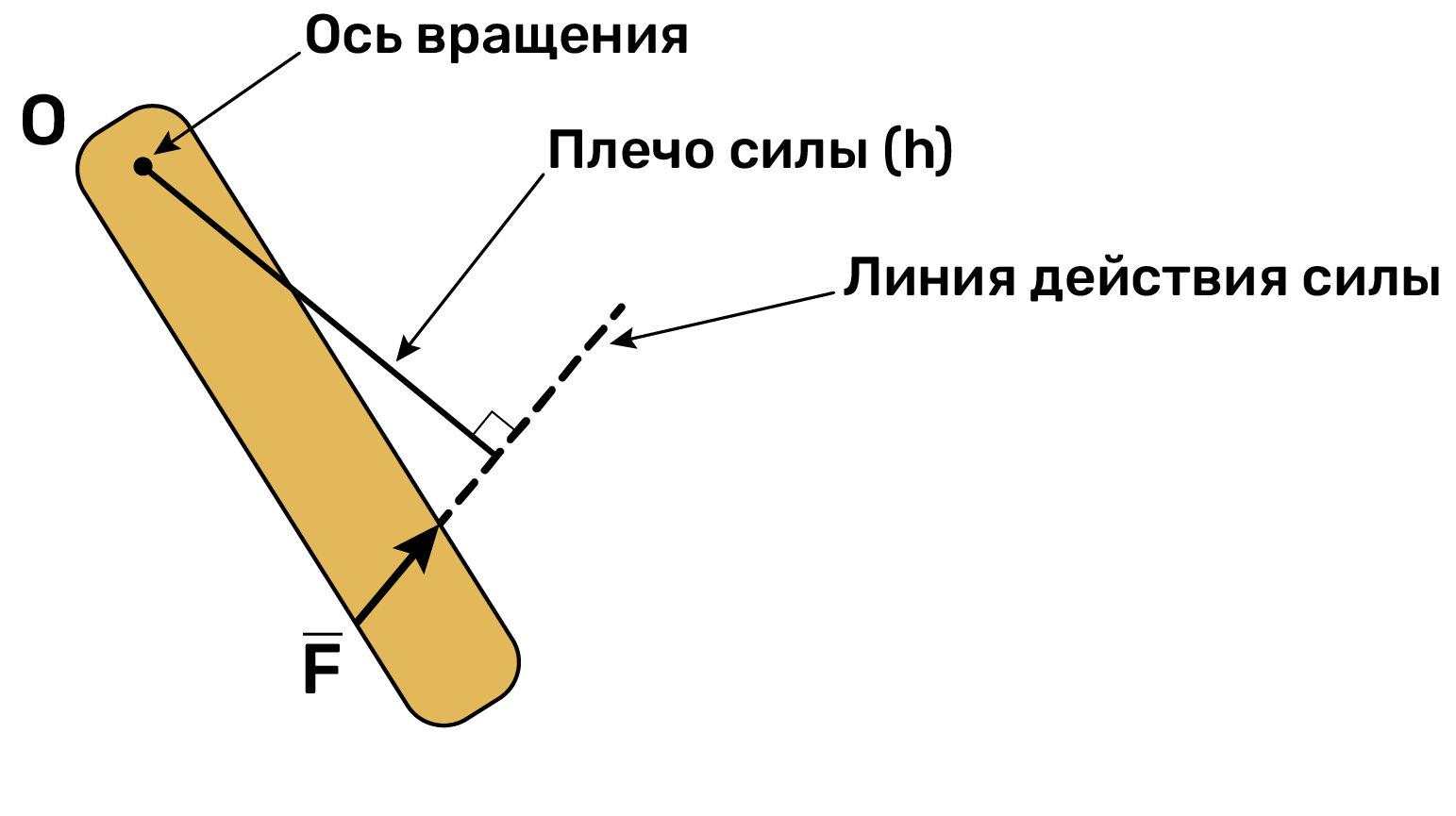Плечо и линия действия силы
