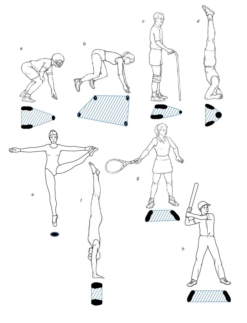 Площадь опоры в различных статических положениях человека в обычной жизни (с) и в спорте (McGinnis P.M., 2013)