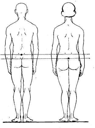 Расположение ОЦМ (ОЦТ) у мужчин и женщин (М.Ф.Иваницкий, 1985)
